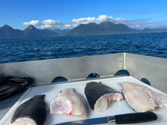 Black Rockfish Fillets