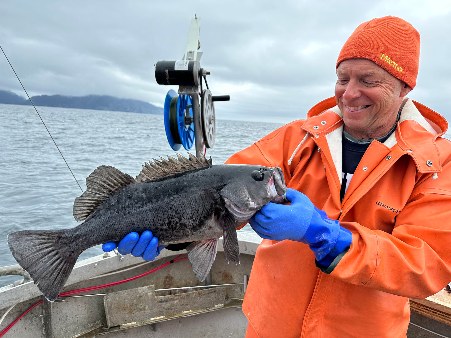 Black Rockfish Fillets