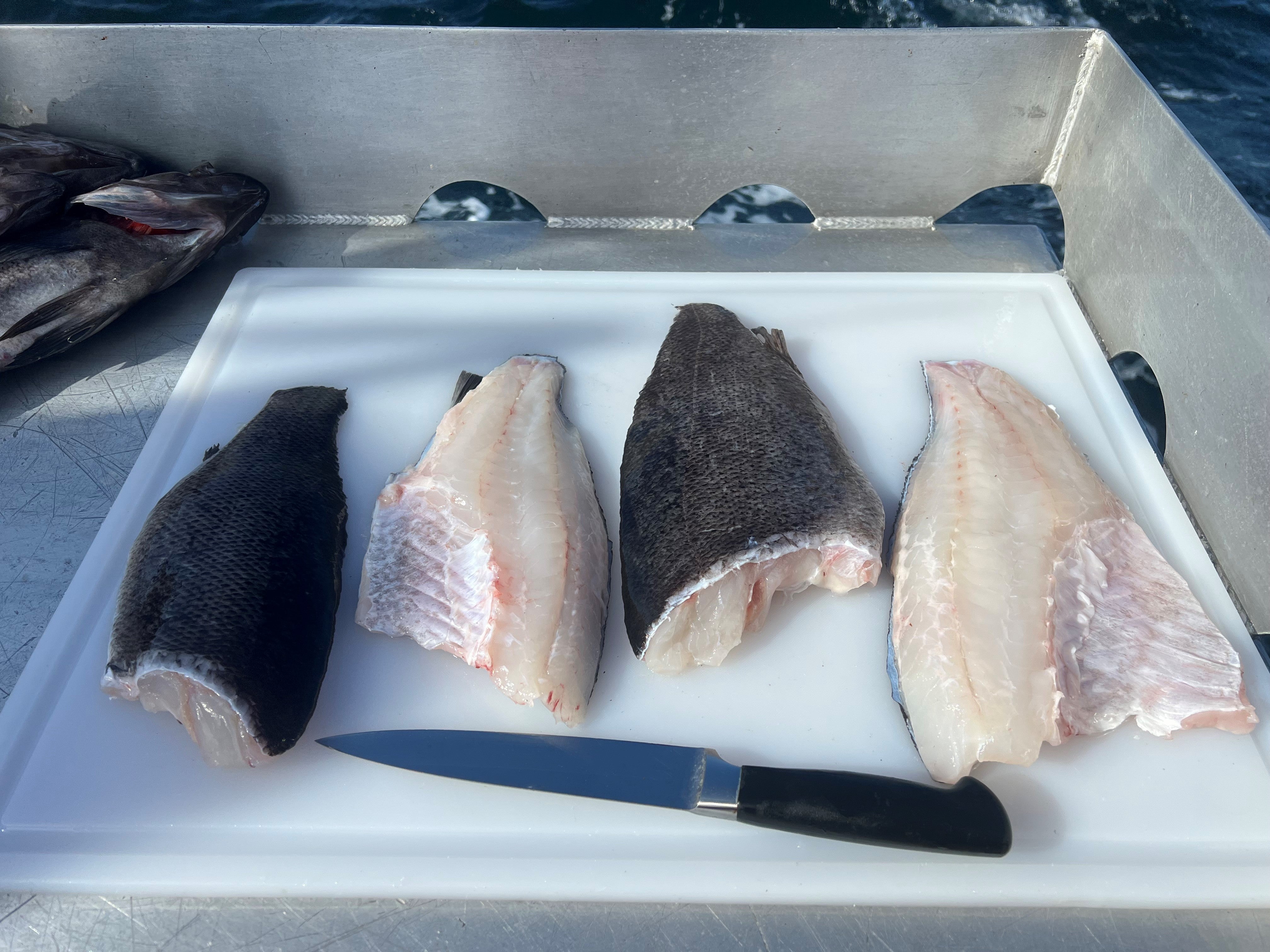 bob white cod fish box Monthly White Fish Subscription Box