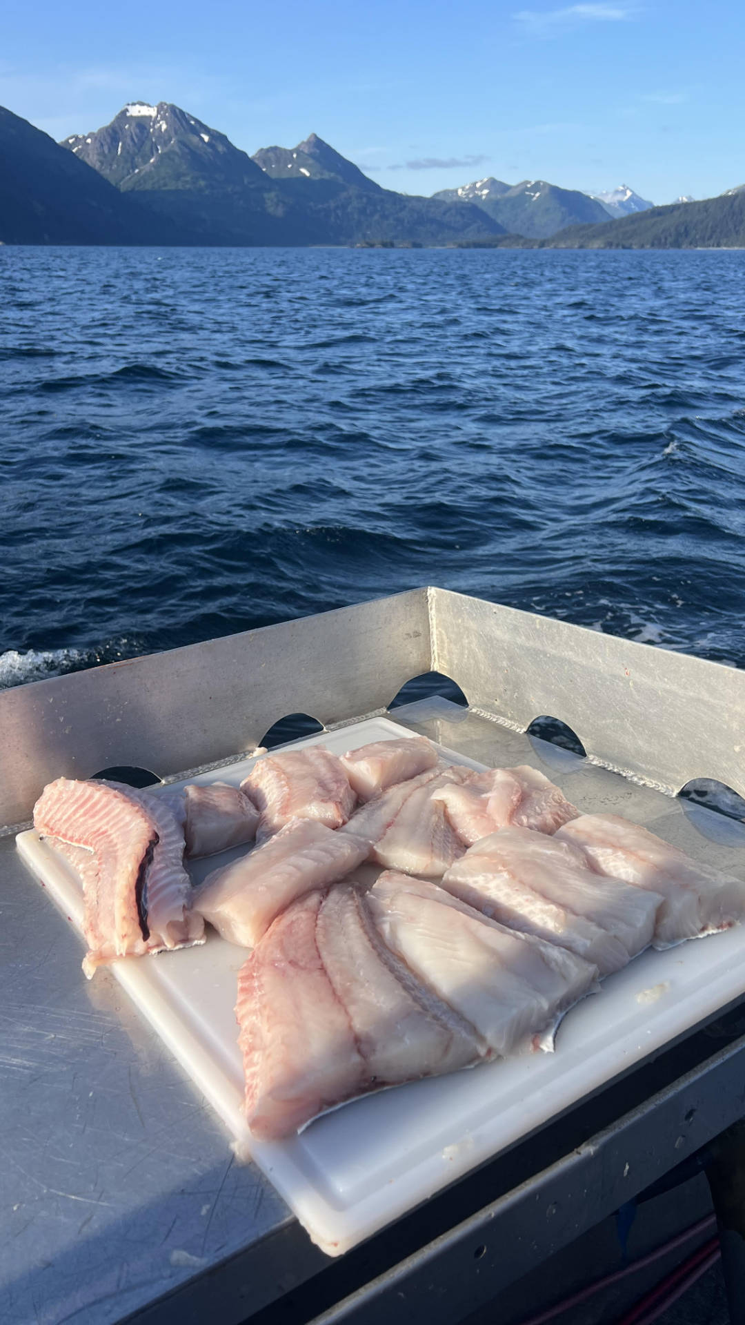 boat fish boxes Boat Share Box