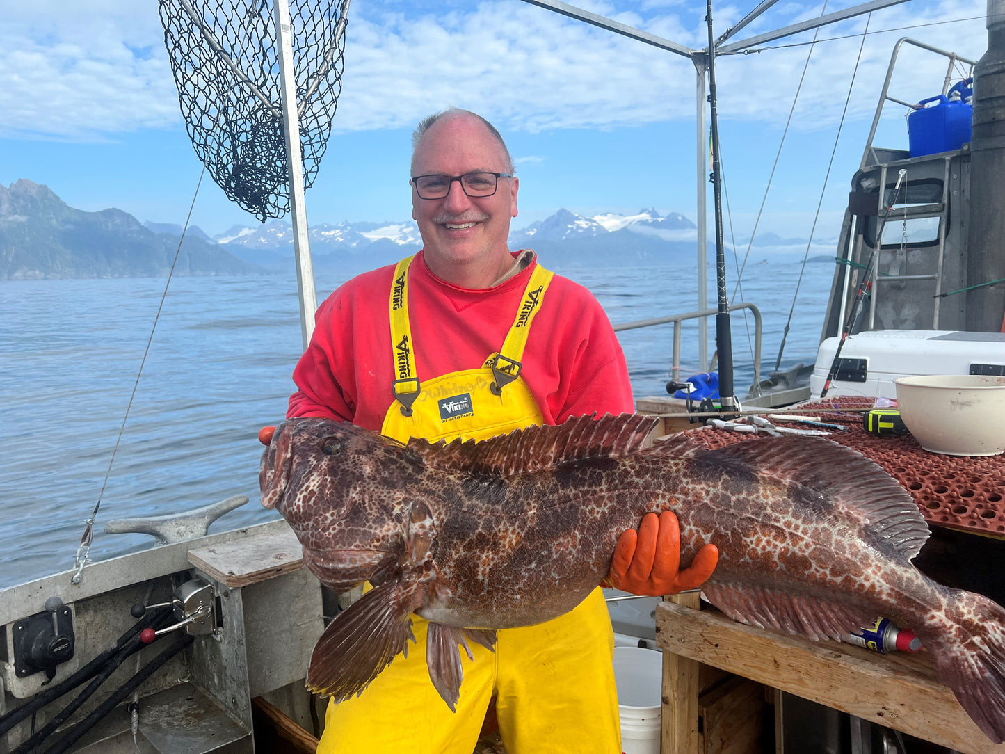 Lingcod