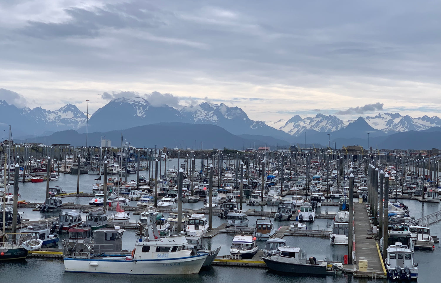 A photo of the Homer small boat harbor where Kodiak Rush's boat, the Lila Aurora, was docked in the summer of 2022. There are hundreds of boats in the foreground, snowcapped mountains across the entire horizon, and gray skies overhead.